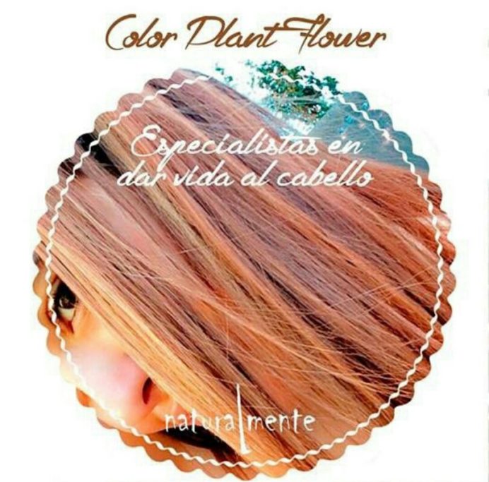 ECO / PROTECCION CAPILAR