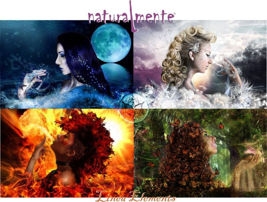 LOS CICLOS DE LA NATURALEZA Y EL CABELLO